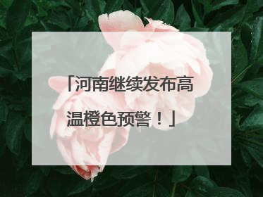 河南继续发布高温橙色预警！