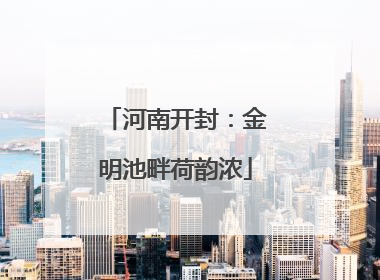河南开封：金明池畔荷韵浓