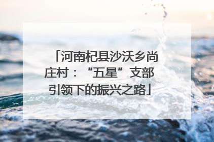 河南杞县沙沃乡尚庄村：“五星”支部引领下的振兴之路