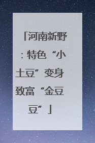 河南新野：特色“小土豆”变身致富“金豆豆”