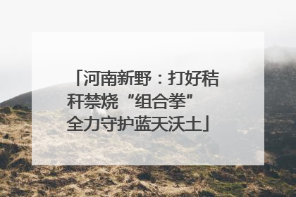 河南新野：打好秸秆禁烧“组合拳” 全力守护蓝天沃土