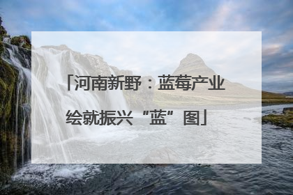 河南新野：蓝莓产业绘就振兴“蓝”图