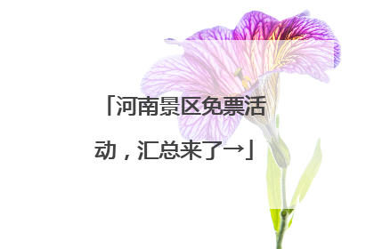 河南景区免票活动，汇总来了→