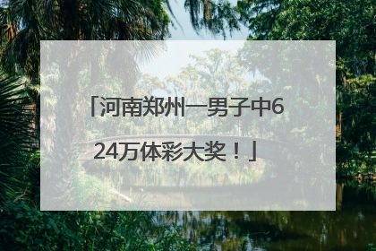 河南郑州一男子中624万体彩大奖！