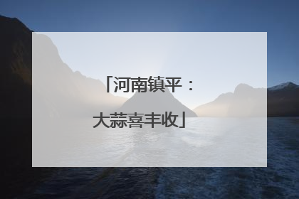 河南镇平：大蒜喜丰收