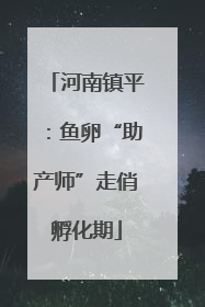 河南镇平：鱼卵“助产师”走俏孵化期