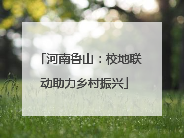 河南鲁山：校地联动助力乡村振兴
