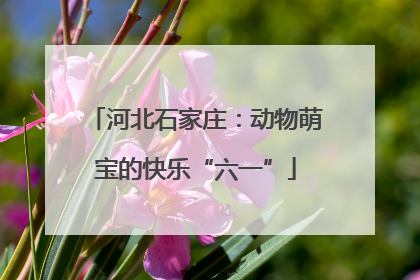 河北石家庄：动物萌宝的快乐“六一”