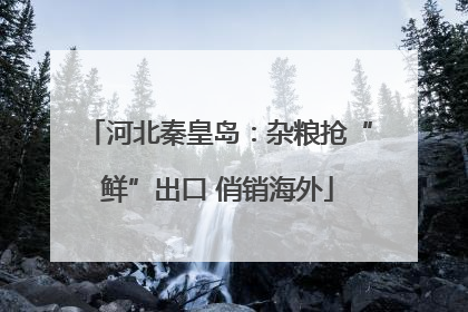 河北秦皇岛：杂粮抢“鲜”出口 俏销海外