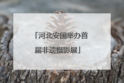 河北安国举办首届非遗摄影展