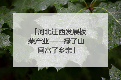 河北迁西发展板栗产业——绿了山间富了乡亲