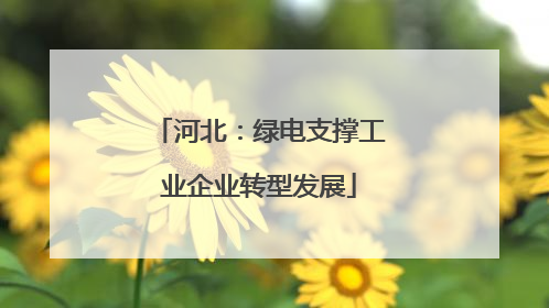 河北：绿电支撑工业企业转型发展