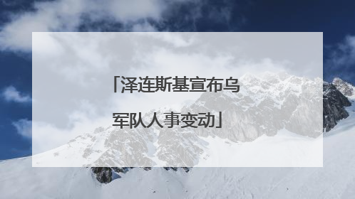 泽连斯基宣布乌军队人事变动