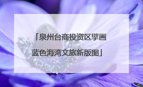泉州台商投资区擘画蓝色海湾文旅新版图