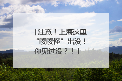 注意！上海这里“嘤嘤怪”出没！你见过没？！
