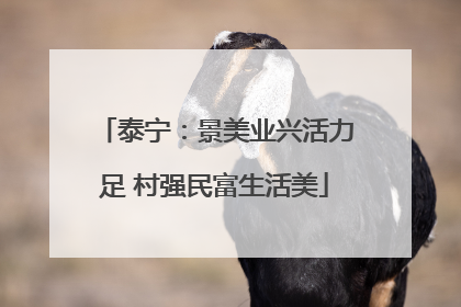 泰宁：景美业兴活力足 村强民富生活美