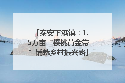 泰安下港镇：1.5万亩“樱桃黄金带”铺就乡村振兴路