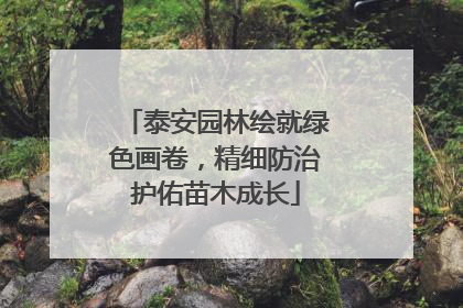 泰安园林绘就绿色画卷，精细防治护佑苗木成长