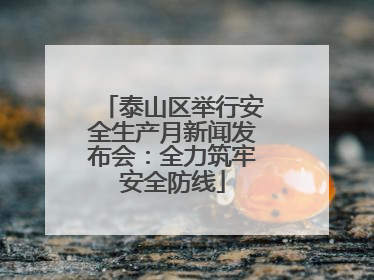 泰山区举行安全生产月新闻发布会：全力筑牢安全防线