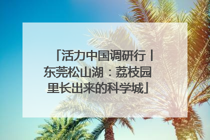 活力中国调研行丨东莞松山湖：荔枝园里长出来的科学城