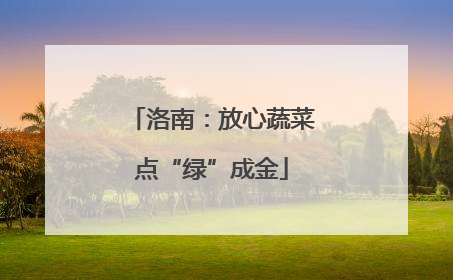 洛南：放心蔬菜点“绿”成金