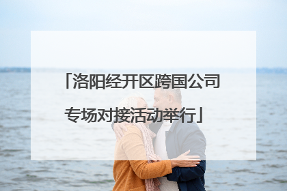 洛阳经开区跨国公司专场对接活动举行