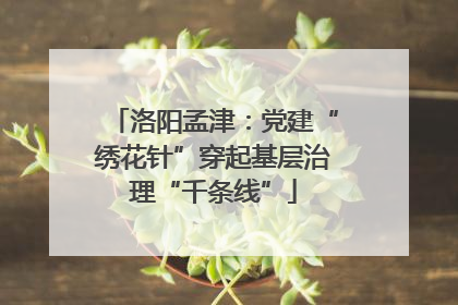 洛阳孟津：党建“绣花针”穿起基层治理“千条线”