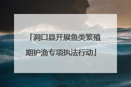 洞口县开展鱼类繁殖期护渔专项执法行动