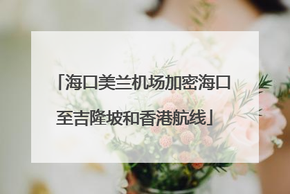 海口美兰机场加密海口至吉隆坡和香港航线