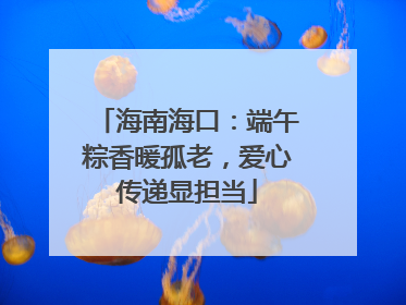 海南海口：端午粽香暖孤老，爱心传递显担当