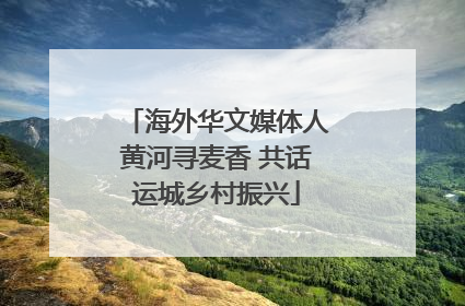 海外华文媒体人黄河寻麦香 共话运城乡村振兴