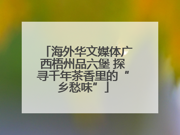 海外华文媒体广西梧州品六堡 探寻千年茶香里的“乡愁味”