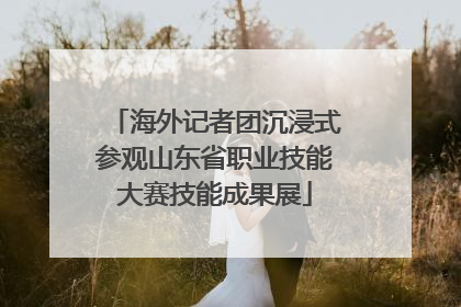 海外记者团沉浸式参观山东省职业技能大赛技能成果展