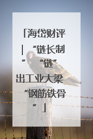 海岱财评｜“链长制” “链”出工业大梁“钢筋铁骨”