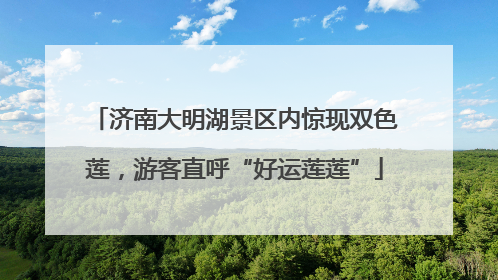 济南大明湖景区内惊现双色莲，游客直呼“好运莲莲”