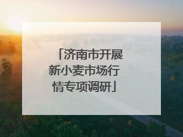 济南市开展新小麦市场行情专项调研
