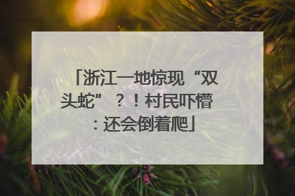 浙江一地惊现“双头蛇”？！村民吓懵：还会倒着爬