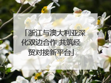 浙江与澳大利亚深化双边合作 共筑经贸对接新平台