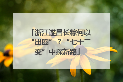 浙江遂昌长粽何以“出圈”？“七十二变”中探新路
