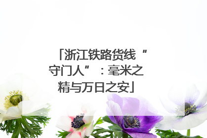 浙江铁路货线“守门人”：毫米之精与万日之安