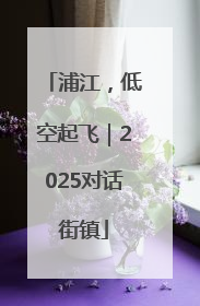 浦江，低空起飞｜2025对话街镇