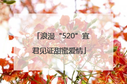 浪漫“520”宜君见证甜蜜爱情