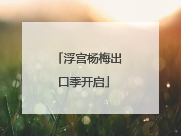 浮宫杨梅出口季开启
