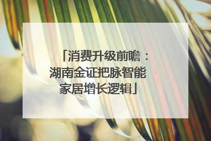 消费升级前瞻：湖南金证把脉智能家居增长逻辑