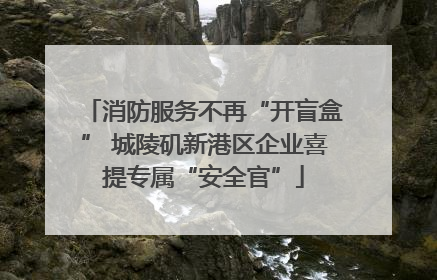 消防服务不再“开盲盒” 城陵矶新港区企业喜提专属“安全官”
