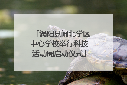 涡阳县闸北学区中心学校举行科技活动周启动仪式