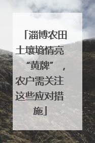 淄博农田土壤墒情亮“黄牌”，农户需关注这些应对措施