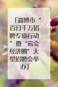 淄博市“百日千万招聘专项行动”暨“省会经济圈”大型招聘会举办