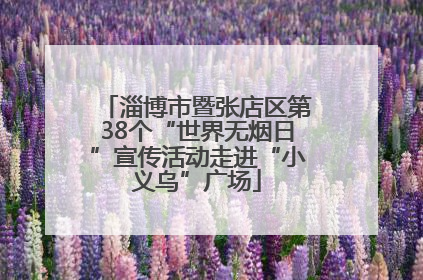 淄博市暨张店区第38个“世界无烟日”宣传活动走进“小义乌”广场