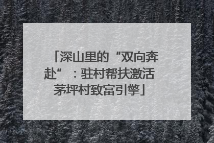 深山里的“双向奔赴”：驻村帮扶激活茅坪村致富引擎